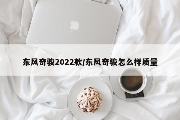 东风奇骏2022款/东风奇骏怎么样质量