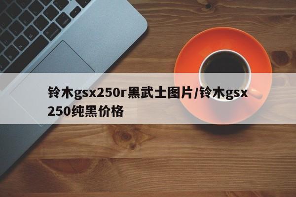 铃木gsx250r黑武士图片/铃木gsx250纯黑价格