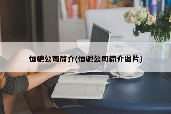 恒驰公司简介(恒驰公司简介图片)