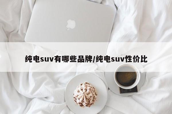 纯电suv有哪些品牌/纯电suv性价比