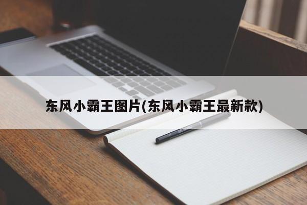 东风小霸王图片(东风小霸王最新款)