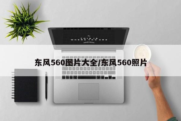 东风560图片大全/东风560照片