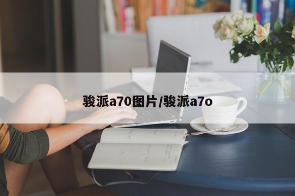骏派a70图片/骏派a7o