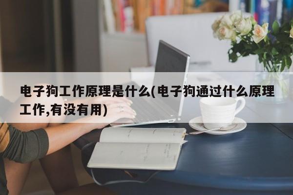 电子狗工作原理是什么(电子狗通过什么原理工作,有没有用)